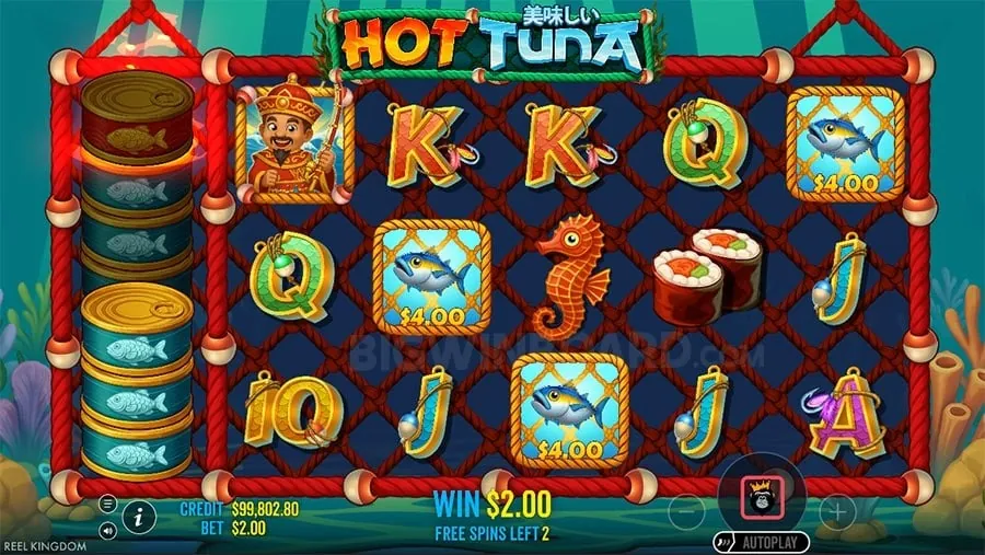 sz777 Mobile Betting App